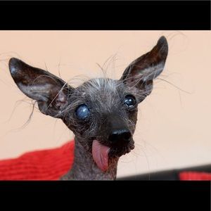 Meet your Posher, Eden